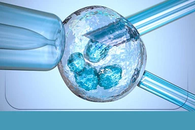 تخمک اهدایی درمان ناباروری با تخمک اهدایی